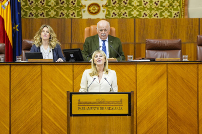La consejera de Economía, Carolina España, este miércoles en el Pleno del Parlamento.