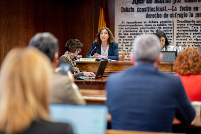 La directora de comunicación de  la Organización de Consumidores y Usuarios (OCU), Ileana Izverniceanu de la Iglesia, comparece ante la Comisión de Investigación sobre el apagón, en el Senado, a 12 de marzo de 2026, en Madrid (España). Izverniceanu de la Iglesia ha sido citada para informar sobre la incidencia de la interrupción del suministro eléctrico y de las comunicaciones el 28 de abril de 2025 en los consumidores españoles.

Gabriel Luengas / Europa Press
12/3/2026