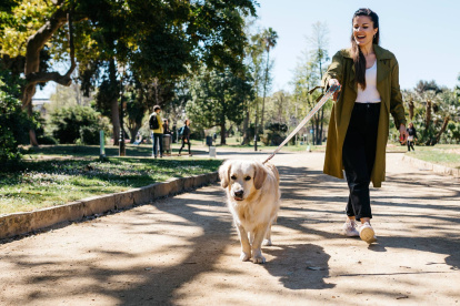 Los paseos en parques y zonas verdes durante la primavera aumentan el riesgo de contacto con la oruga procesionaria en perros