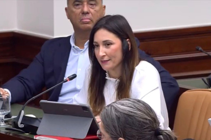 Diputada del PSOE, Maria Nieves Ramírez Moreno