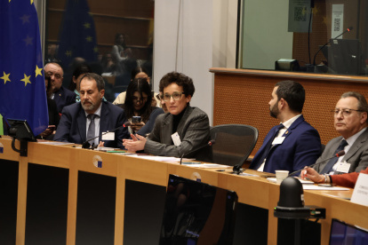 La alcaldesa de Onda, Carmina Ballester, interviene en Bruselas