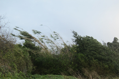 Rachas de viento