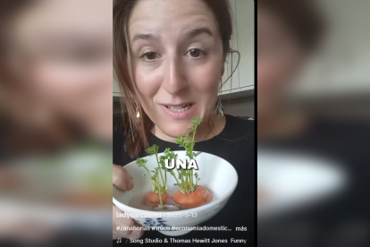 La tiktoker Lady Sarcasmo nos enseña a tener zanahorias infinitas