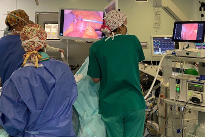 (Foto de ARCHIVO)
Endoscopia intraoperatoria

REMITIDA / HANDOUT por CLÍNICO
Fotografía remitida a medios de comunicación exclusivamente para ilustrar la noticia a la que hace referencia la imagen, y citando la procedencia de la imagen en la firma
10/3/2023