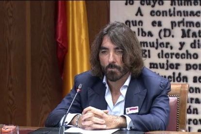El exCEO de Air Europa, Javier Hidalgo en la Comisión de investigación en el Senado. 23 de abril 2026