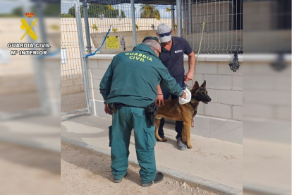 Un agente de la Guardia Civil con un perro, en imagen de archivo.