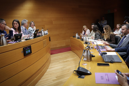 Comisión de investigación sobre las VPP en Les Corts.