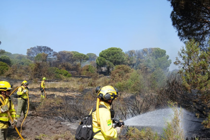 Efectivos del Plan Infoca trabajando en el incendio en el Parque Nacional de Doñana, Huelva.