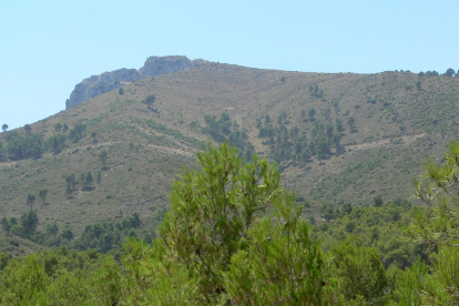 Imagen de un monte en la provincia de Alicante.