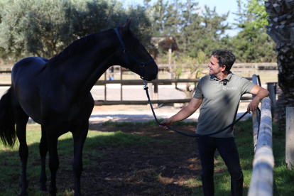"Horse Experience" es una propuesta de desarrollo humano basada en la interacción con caballos.