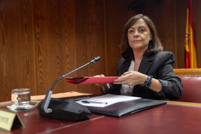 La Gerente del PSOE, Ana María Fuentes Pacheco, comparece ante la comisión sobre el caso Koldo, en el Senado.