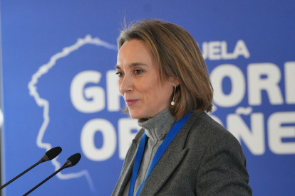 La vicesecretaria de regeneración institucional del PP, Cuca Gamarra

UNANUE - EUROPA PRESS
24/1/2026