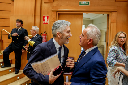 El ministro del Interior, Fernando Grande-Marlaska y el senador del PSOE, Alfonso Carlos Moscoso