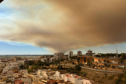 Humo del incendio de Villanueva de los Castillejos llega hasta Huelva capital.

REMITIDA / HANDOUT por AYUNTAMIENTO DE HUELVA
Fotografía remitida a medios de comunicación exclusivamente para ilustrar la noticia a la que hace referencia la imagen, y citando la procedencia de la imagen en la firma
08/6/2026