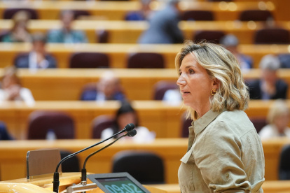 La portavoz del PP en el Senado,Alicia García