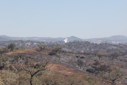 Medios aéreos trabajan en las labores de extinción del incendio forestal declarado el pasado lunes en el municipio onubense de Villanueva de los Castillejos. 
10/6/2026