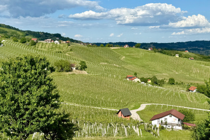 Eslovenia: donde vino y gastronomía crecen juntos.