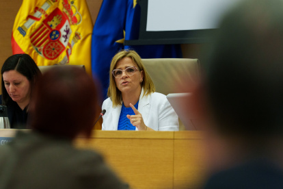 La delegada del Gobierno en la Comunidad Valenciana, Pilar Bernabé