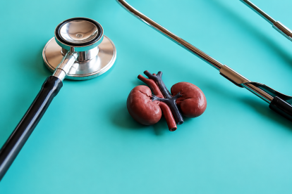 El Hospital Universitario La Luz refuerza la detección precoz de la enfermedad renal crónica con un nuevo modelo asistencial multidisciplinar