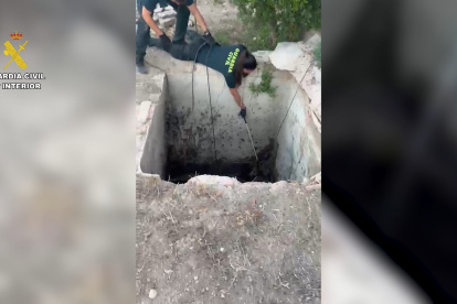Operación de la Guardia Civil para la liberación del zorro.