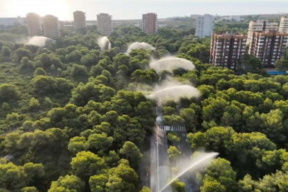 (Foto de ARCHIVO)
Cañones de agua en la devesa ante el calor extremo

REMITIDA / HANDOUT por AYUNTAMIENTO DE VALÈNCIA
Fotografía remitida a medios de comunicación exclusivamente para ilustrar la noticia a la que hace referencia la imagen, y citando la procedencia de la imagen en la firma
11/8/2025
