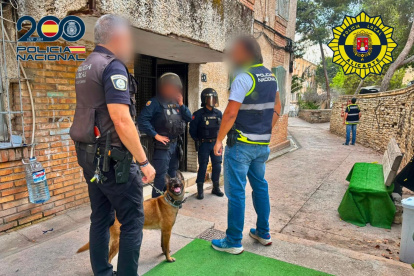 Operación antidroga en zona norte de Alicante.