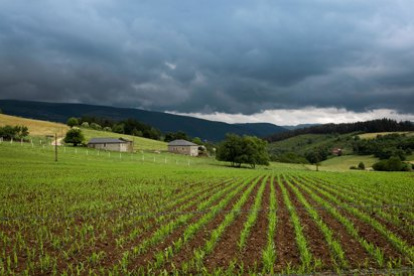 Siembra en un campo del occidente asturiano.