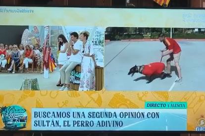 Sultán, el perro futurólogo más famoso del mundo entero.