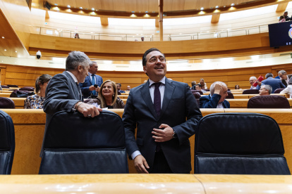Marlaska y Albares en el Senado. Eran otros tiempos...