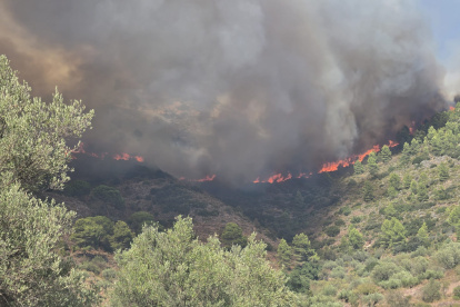Incendio de Segorbe