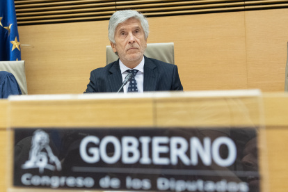 El ministro de Interior, Fernando Grande Marlasaka