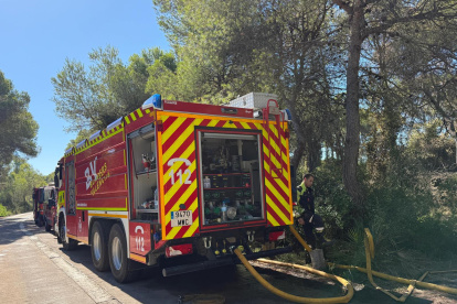 Bomberos en El Saler
