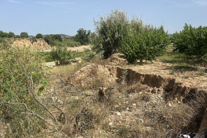 Campo afectado por la dana