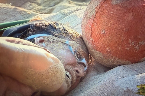 Alba Paul sufriendo en el juego de prelíder