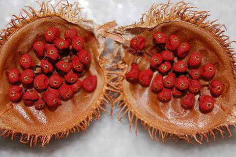 Achiote abierto