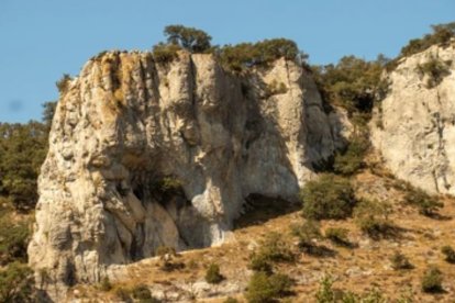 Ojo Guareña