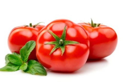 Tomates