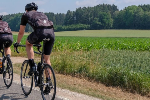 Ciclistas circulando en una carretera