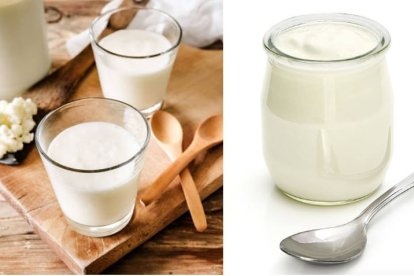Kefir/yogur