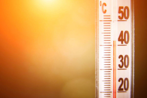 Calor