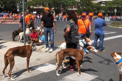 Manifestantes con perros de caza