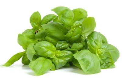 Albahaca
