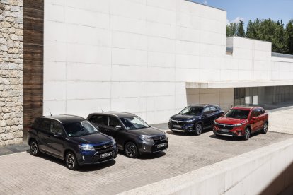 Suzuki SUV