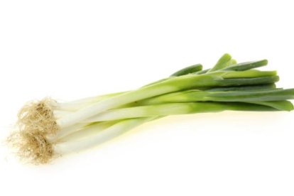 Cebolla fresca