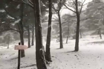 Nevada en el Maigmó Alicante