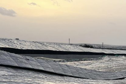 Un invernadero desplomado en El Ejido (Almería) a causa de la tormenta de granizo, lluvia y viento.