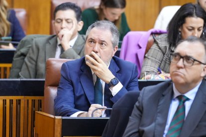El secretario general del PSOE-A, Juan Espadas, durante el Debate sobre el Estado de la Comunidad.