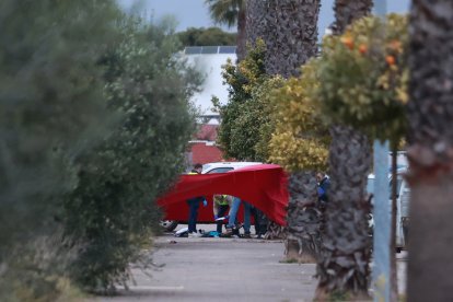 Los servicios funerarios y la Guardia Civil trabajan en el lugar donde se encuentra el cadáver de un menor apuñalado en Gerena, Sevilla.