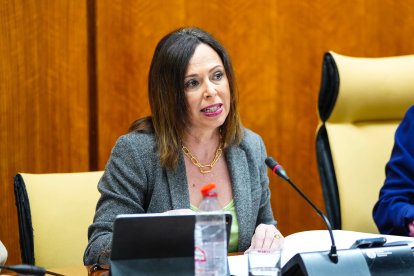 La consejera de Fomento, Articulación del Territorio y Vivienda, Rocío Díaz, en comisión parlamentaria.