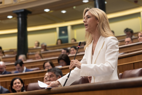 La diputada del PP, Cayetana Álvarez de Toledo, interviene durante una sesión de control al Gobierno